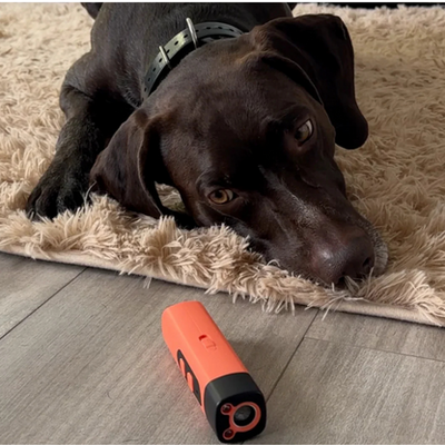 Ultrasonic Dog Repellent