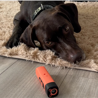 Ultrasonic Dog Repellent